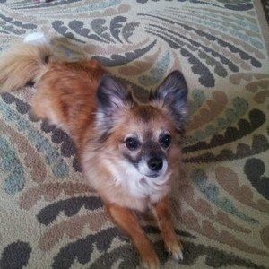 Meet your Posher, Terry